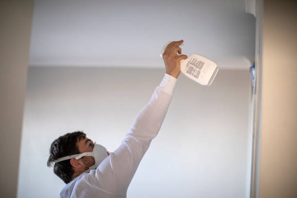 Best Mold Remediation for Schools in Campton Hls, IL