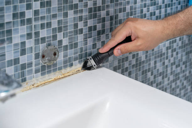 Best Preventive Mold Services in Campton Hls, IL
